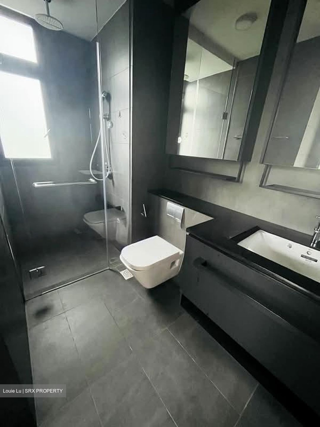 Park Colonial (D13), Condominium #555156291